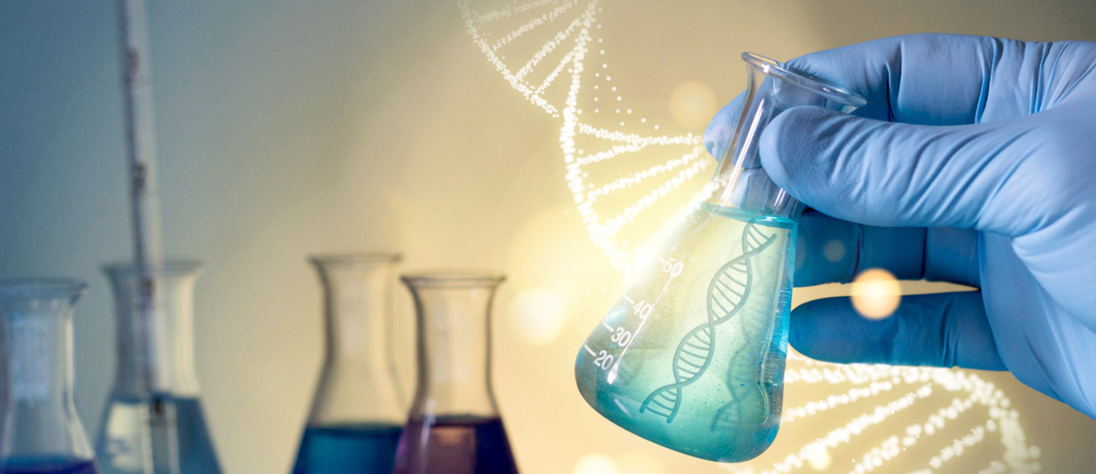 Alcohol Detector for Vehicle Control